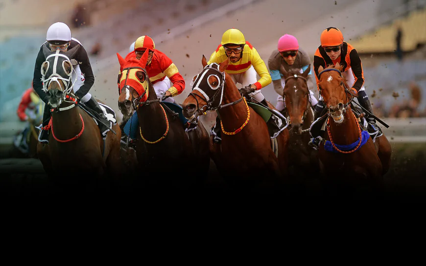 TJK ve Müşterek Bahislerin Yapılandırması