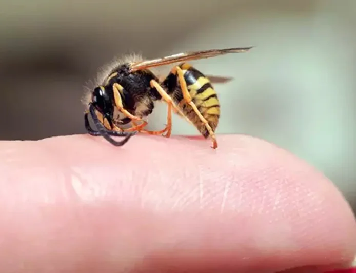 Trajik olay: Arı sokması 9 yaşındaki çocuğun ölümüne neden oldu